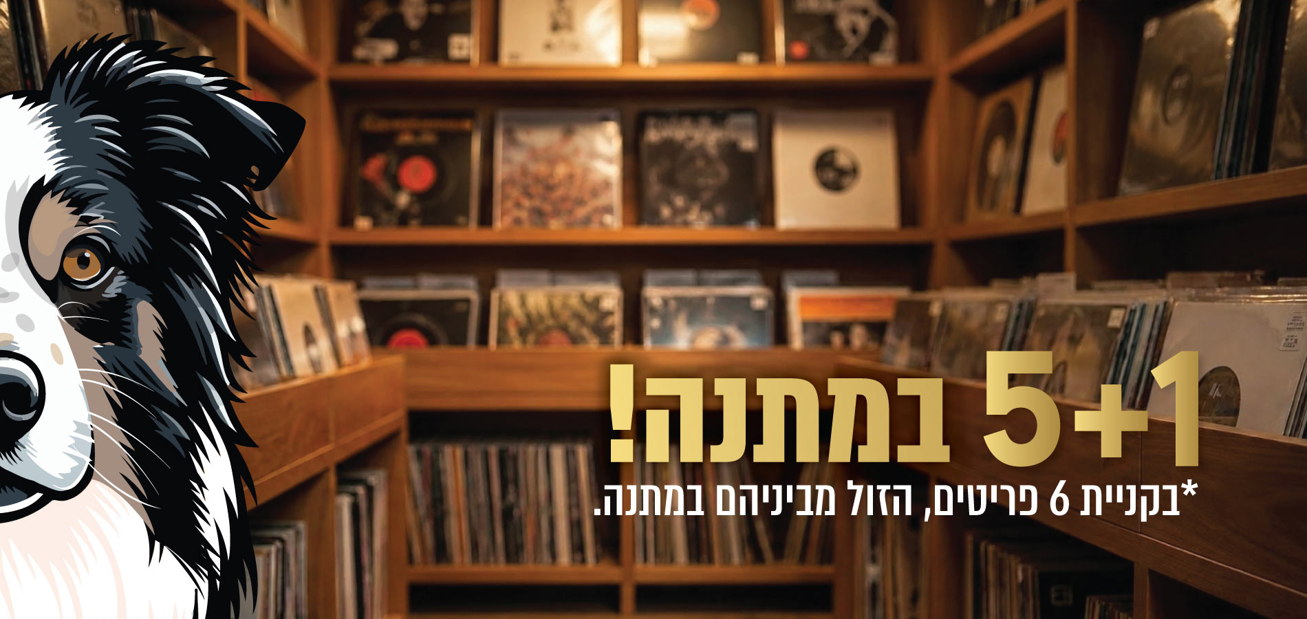 1 + 5 מתנה! *בקניה 6 פריטים, הזול מביניהם במתנה.